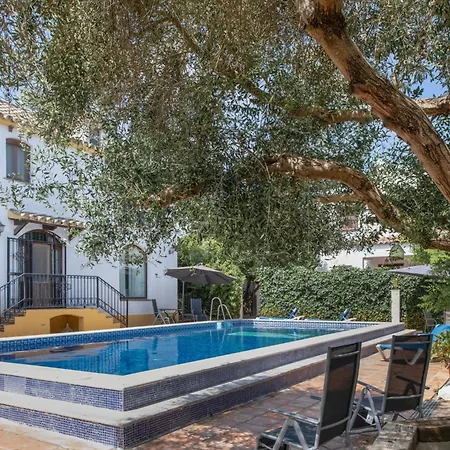 Estudio El Olivo Apartment